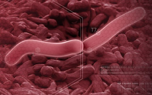 quarantine(隔离)最高难度游戏实况#2