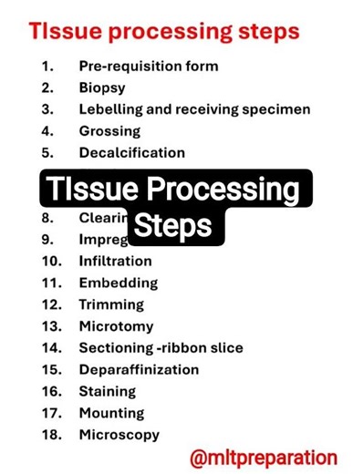 tissue processing steps (histopathology)#histology #histopathology #bmlt #dmlt #medical #laboratory