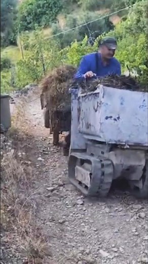 #motocarriola #cingolata #idrostatica #messersi #carrello #rimorchio #agriemotori #agrimovie