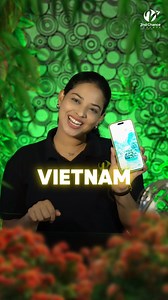 6.4K views · 41 reactions | Unlock the Magic of Vietnam – 6 Nights, 3...