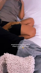 Clingy Dog 😅😂🤣 #animals #funnyvideos #pet #dog #cat | amazinganimals.us