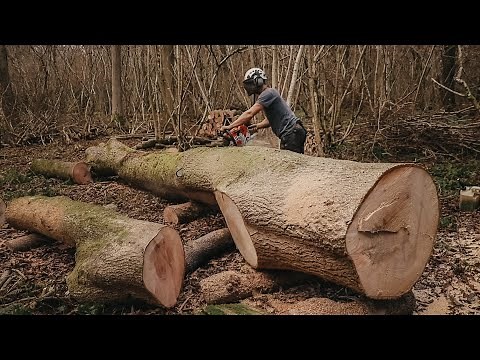 Off Grid Winter Project: Milling the Giant Ash Tree into Planks