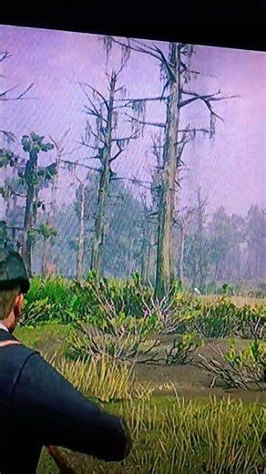 rd2 how to find legendary Boar in red dead redemption 2