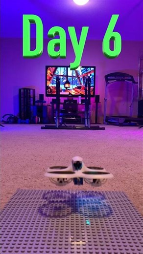 Day 6 - More training with the BetaFPV Cetus X