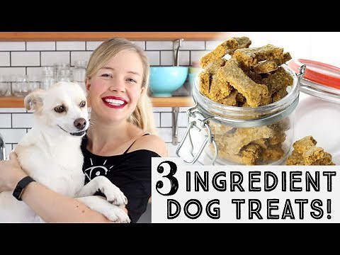 Pumpkin & Peanut Butter Dog Treats - Just 3 Ingredients!