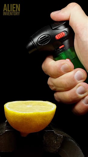 lemon burning #asmr #asmrsounds #macroart #macro #macrophotography #makrofotografia #closeup #closeupphotògraphy #raw_macro #kings_macro #macro_highlight #macro_royals #macroworld_tr #macro_vision #macro_captures #macro_holic #microworld #microart | Alien Inventory