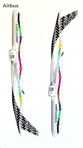 Airbus Unveils The Winner Of Its A350F Livery Design Competition #shorts