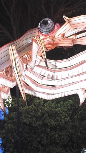 ✨ Experience this all-NEW event. 🌟 Explore 9 acres of giant animal lanterns and enjoy extended Aquarium hours on select nights. | The Living Planet Aquarium