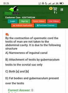 By the contraction of spermatic cord the testis of man are not ... | Filo