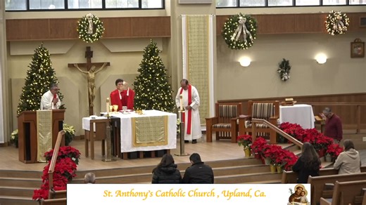 8:30 am Mass - Feast of Saint Steven - First Martyr - Friday 12/26 | St. Anthony's Catholic Church