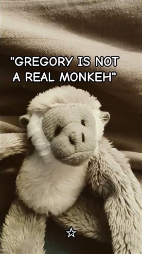 joke- he's just a plush- #monkey #scary #funny