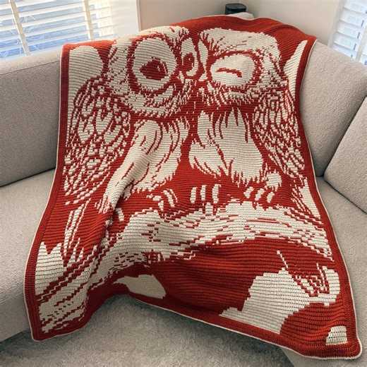 Owl Affection Blanket Overlay Mosaic Crochet Pattern - PDF Tutorial - Etsy