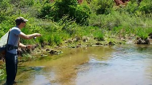 Really small stream, huge 25 inch Brown Trout on a dry fly with a 3 weight rod! Many thanks to Eric Falkenberg for letting us share this fantastic video and a well done to Cody Fischer for landing such a huge trout. | The New Fly Fisher