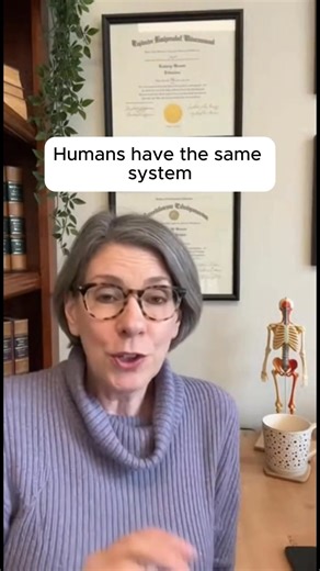 "Your labs look fine." "Have you tried just... resting more?" "It could be depression." "Maybe you're just stressed." And my personal favorite: "It's just chronic fatigue. There's nothing we can really do." Just chronic fatigue. As if the exhaustion that's stolen your career, your hobbies, your ability to cook dinner without needing a two-hour nap... is somehow just anything. Here's what I want you to know right now, before you read another word: You're not crazy. You're not lazy. And you're def
