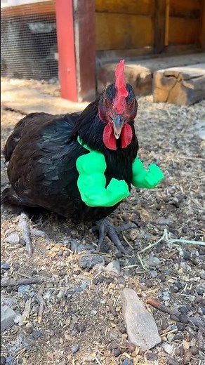 3D Printed HULK Arms for my CHICKEN #3dprinting