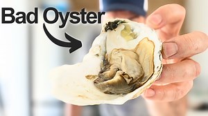 I Tried $1 Oysters from Whole Foods #seafood #oysters #wholefoods | By the Water