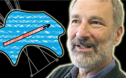 【Numberphile数字狂】挂谷问题：针转一圈扫过的最小面积 @柚子木字幕组