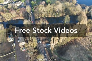Poplar Trees Videos, Download The BEST Free 4k Stock Video Footage & Poplar Trees HD Video Clips