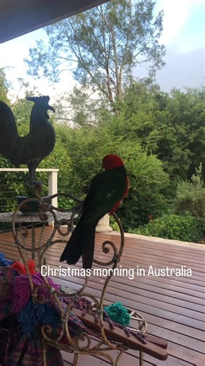 Native American Jewelry on Instagram: "Hope everyone in the USA has a wonderful day !"