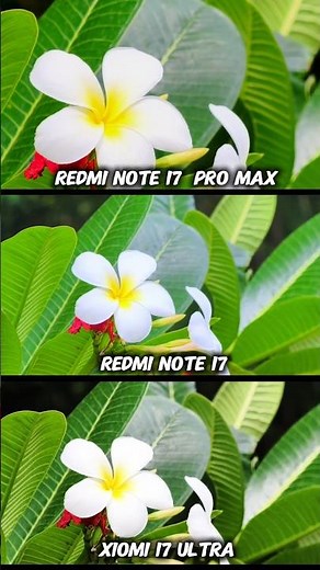 Ultimate Camera Battle Redmi Note 17 Pro Max Vs Xiaomi 17 Ultra vs Redmi Note 17 Photography Test