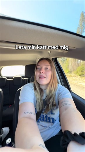 Leta min katt i byn med mig