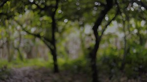 1.5M views · 30K reactions | One of the first short film/documentary we did under Createk Multimedia back in 2022. Watch full video via the link: https://youtu.be/T-N0_mDgRYI?si=_sNWuhTdiNKbweh- | Raun Raun Photos | Facebook