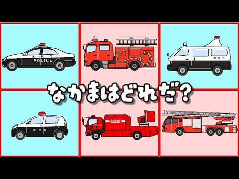 Sorting Vehicles for Kids | Group the Cars by Color & Job 🚗 | Sorting Working Vehicles (for Toddl...