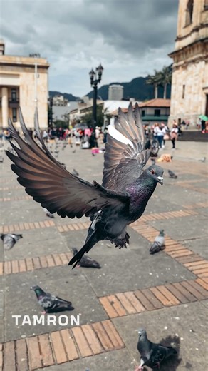 Tamron 16–30mm F/2.8 Di III VXD G2 Lens