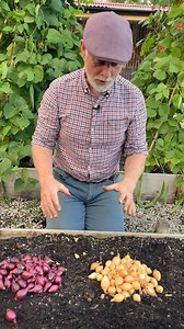 209K views · 999 reactions | Now is the perfect time to get your...