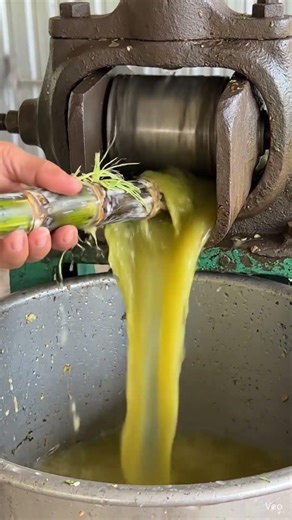 Fresh Sugarcane Juice Making ASMR 🌿🥤 | Super Satisfying Crushing & Juice Sounds #shorts #asmr #fruit