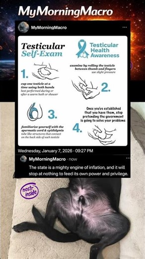 Check Your State Too