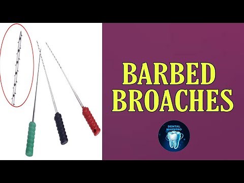 Barbed Broaches | perfect pulp extirpation | canal widening | dental maestro