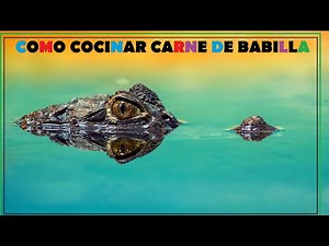 Como Cocinar Carne de Babilla