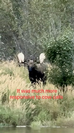 205K views · 5.3K reactions | Good ride in the small boat | Ricko DeWilde | Facebook