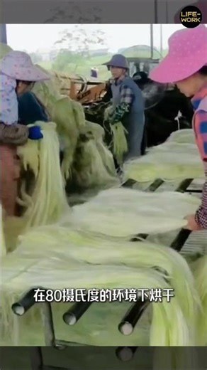 The Transformation Journey of Resilient PlantFiber Home Decor