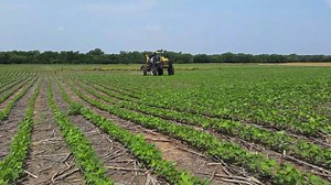 56 shares · 16 comments | We got the awesome opportunity to demo a new AGCO Rogator sprayer from Lang Diesel, Inc. this summer! It was equipped with NORAC Systems Spray Height Control sensors. The technology on these newer pieces of equipment is amazing and we thought we'd make a video detailing all of the benefits a sprayer like this has to offer! | Peterson Farm Bros | Facebook