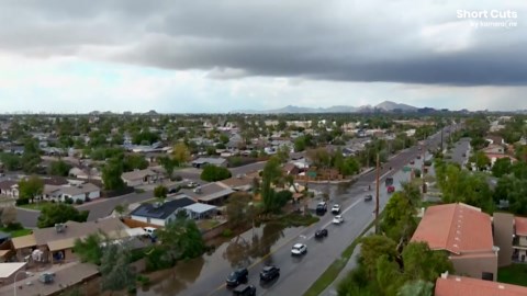 Powerful microburst damages homes and topples trees in Arizona