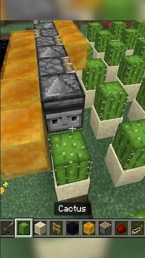 Minecraft Cactus Flower Farm Automatic Redstone Tutorial [Bedrock 1.21.60] #shorts