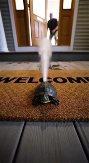 Turtle Blasts Grandpa’s Door With Water Jet 💦 Watch the epic splashdown #funny #pets #waterfight