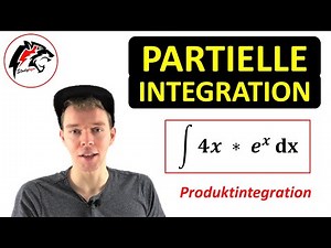 Partielle INTEGRATION (Produktintegration) mit e^x | Mathe Tutorial