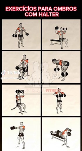 Exercícios para Ombros com Halter: Treino na Academia