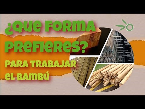 🔴¿Cómo usar el bambú para construcción? 🔴[¿cual es la forma ideal?] Te lo cuento aquí 👆