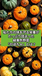 私たちの体を守る栄養がたっぷり詰まった緑黄色野菜かぼちゃとは？#ショート豆知識 #1分雑学 #60秒トリビア #これ知ってた #食の常識 #知らなきゃ損 #豆知識ショート #食ネタショート