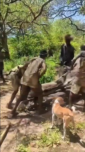 After a Long Day in the African Bush, the Hunters Share a Traditional Meal | Tribal Life