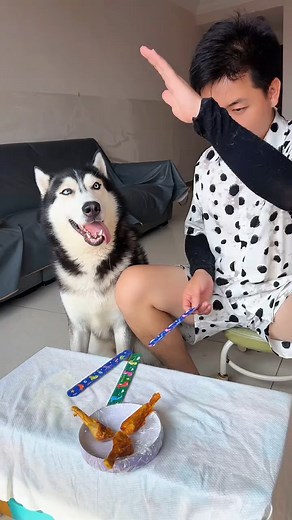 #fb #funnyreels #doglover #fun #playtime #viral #dog #fypシ | Pet Passion Hub