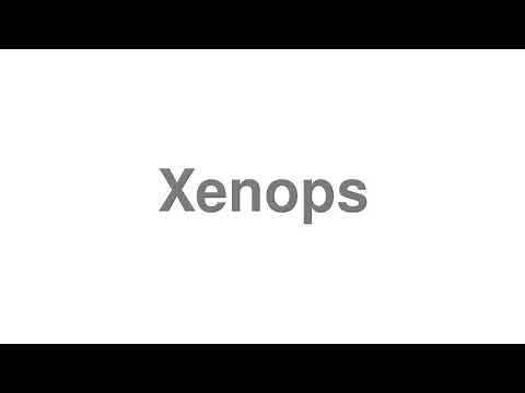 How to Pronounce "Xenops"