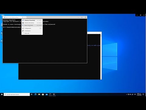 Instalar Windows Terminal con Windows Package Manager (Winget) en Windows 10