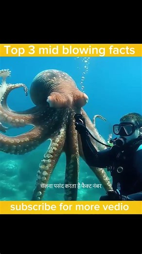 top 2 fact about octopus and human
