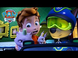 Spy Chase saves Alex's Mini Patrol and more! - PAW Patrol Episode - Cartoons for Kids Compilation - Videos For Kids