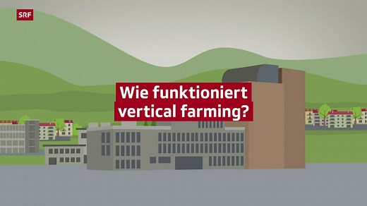 Wissen für alle – Wie funktioniert vertical farming?
